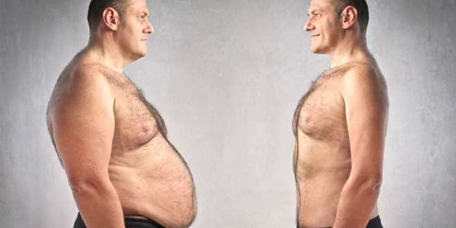 mudanças corporais metabolismo mudanças corporais metabolismo