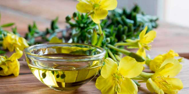 Óleo de Prímula: O que é, Para que Serve, Propriedades e Benefícios para a Saúde