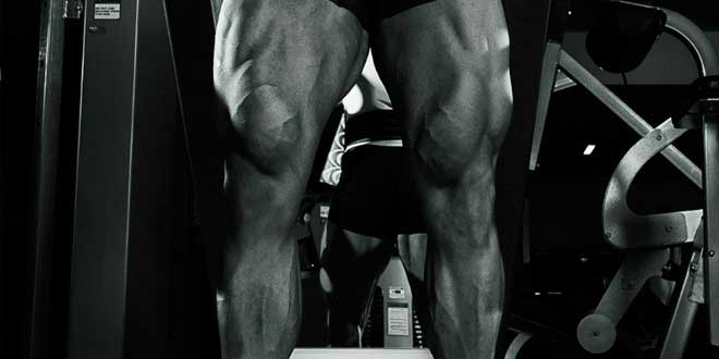 ganho muscular ganho muscular
