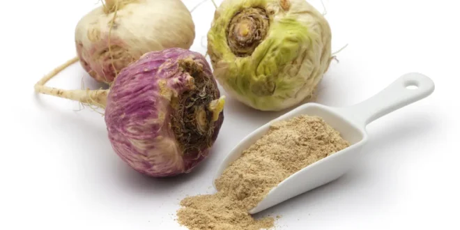 O que é a Maca Andina e quais são os seus benefícios? O que é a Maca Andina e quais são os seus benefícios?