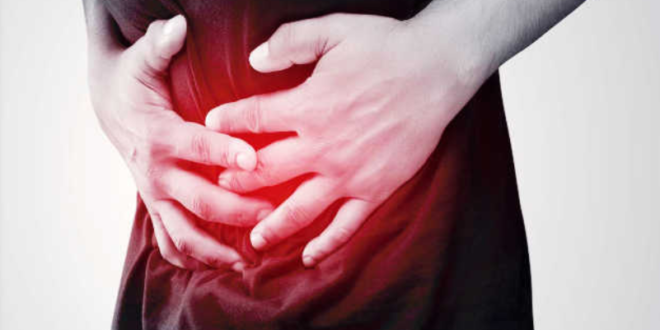 Como se destrói a flora intestinal?