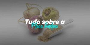 Maca Andina