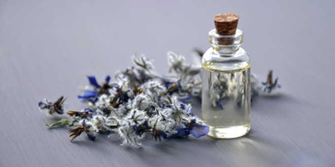 Óleo de Borragem – Aliado para a saúde da pele