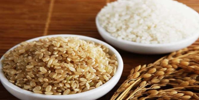 Propriedades e usos da proteína de arroz