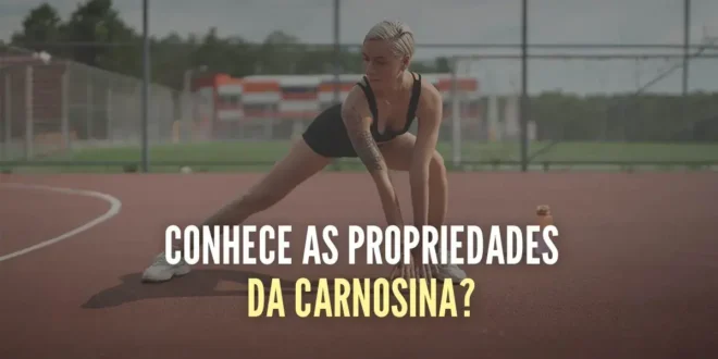 Carnosina – Tudo o que deves saber