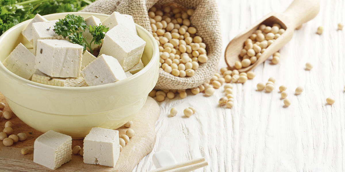 ingredientes tofu ingredientes tofu