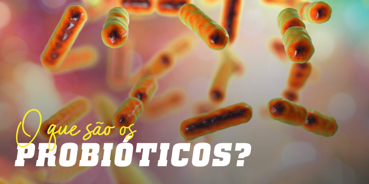Probióticos – O que são, Quais são os Benefícios para a Saúde
