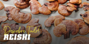 Reishi