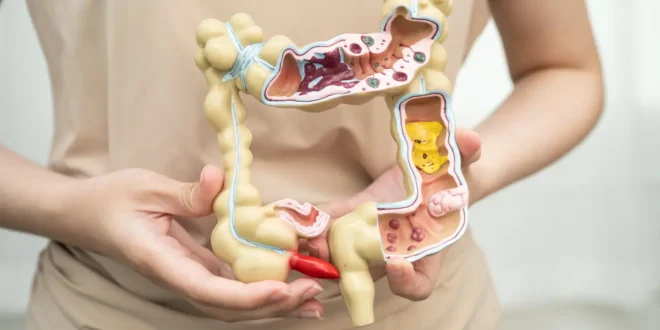 Como se destrói a flora intestinal?