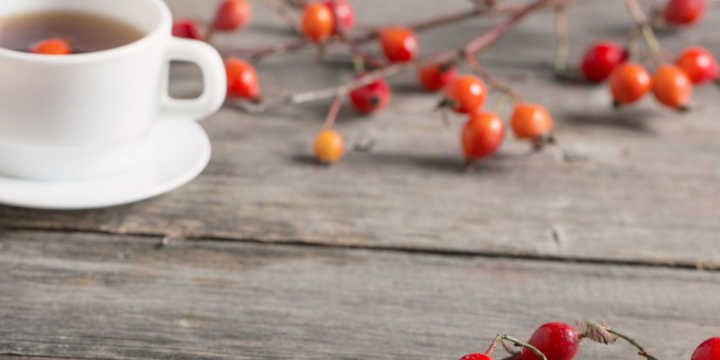 chá de rosa mosqueta chá de rosa mosqueta