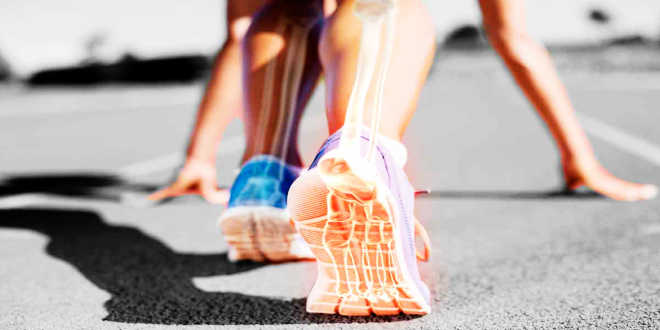 Cálcio – Descobre que Benefícios Fornece aos seus Ossos