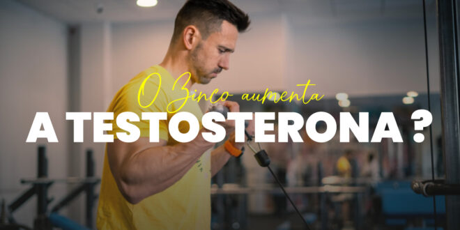 Zinco e aumento da testosterona