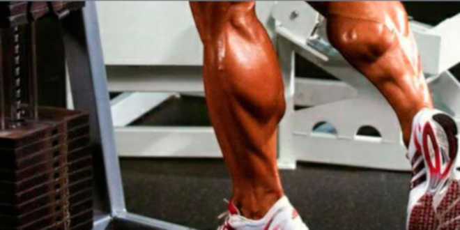 alimentação e musculo