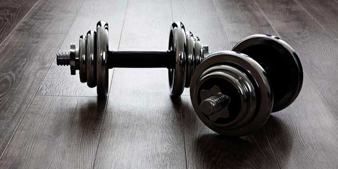 Treino com Halteres em Casa Treino com Halteres em Casa