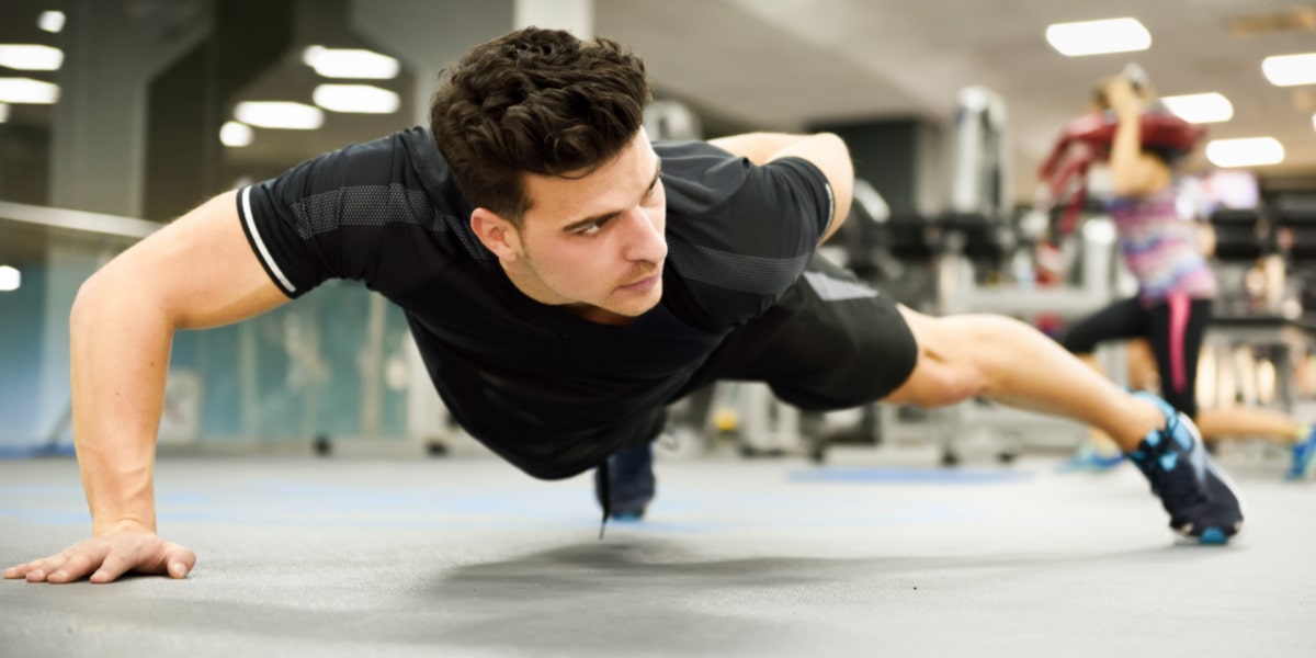 O que é o Tribulus Terrestris