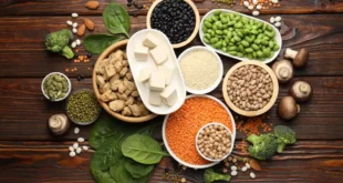 As 12 fontes principais de proteína vegetal