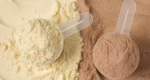 Diferenças entre a proteína de soro isolada e concentrada