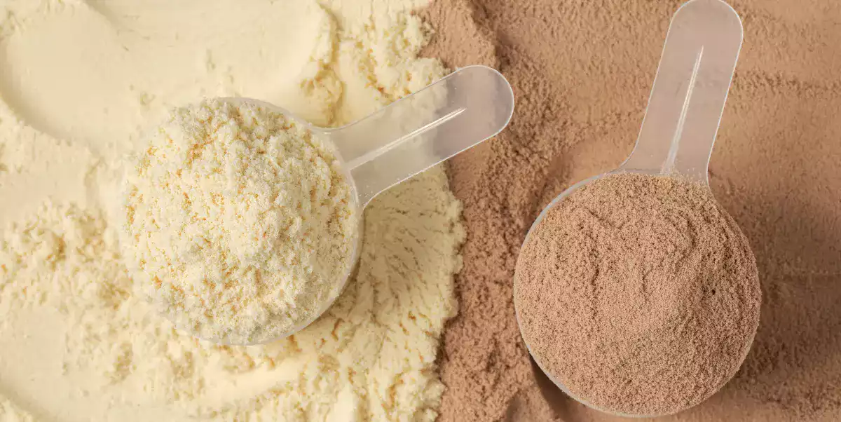 Diferenças entre a proteína de soro isolada e concentrada