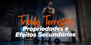 Tribulus Terrestris: Propriedades e Efeitos Secundários
