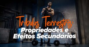 Tribulus Terrestris: Propriedades e Efeitos Secundários