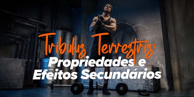 Tribulus Terrestris: Propriedades e Efeitos Secundários