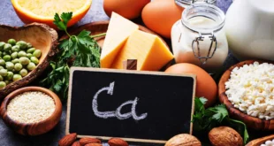 Alimentos ricos em cálcio (lácteos e não lácteos)