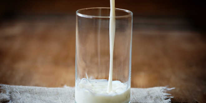 saúde leite de coco