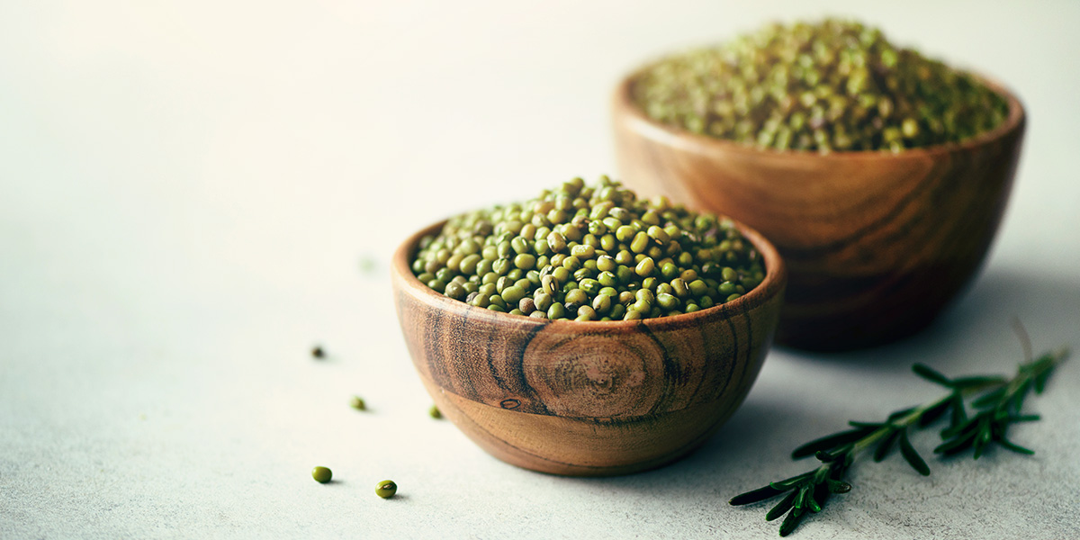 Em que alimentos se encontram os benefícios da soja? Em que alimentos se encontram os benefícios da soja?