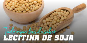 Lecitina de Soja