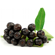 baga berry vs açai baga berry vs açai