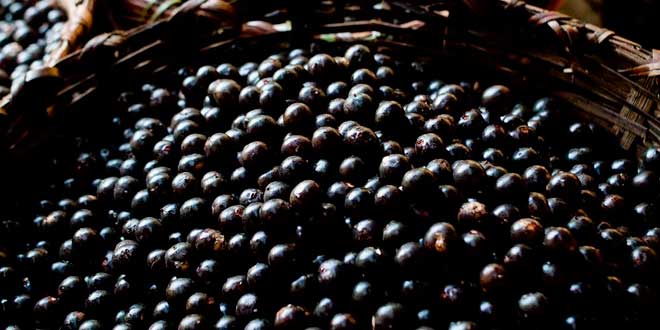 beneficios baga beneficios baga