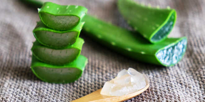 propriedades e benefícios aloe propriedades e benefícios aloe