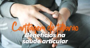 Cartilagem de tubarão