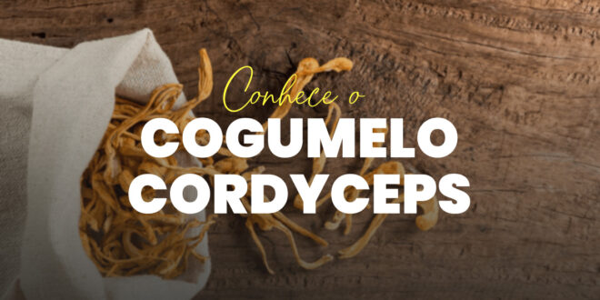 Cordyceps – Fungo Milenário com espectaculares prestações Teraupêticas