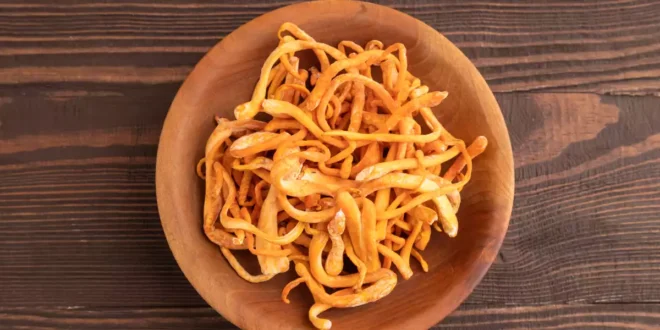 Cogumelo Cordyceps: Propriedades, Benefícios e Rendimento Desportivo Cogumelo Cordyceps: Propriedades, Benefícios e Rendimento Desportivo