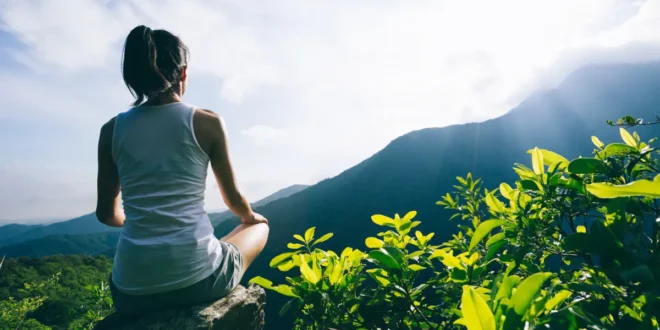 8 benefícios incríveis do Ginkgo Biloba para a saúde