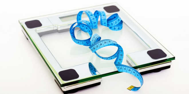 alcachofra perder peso