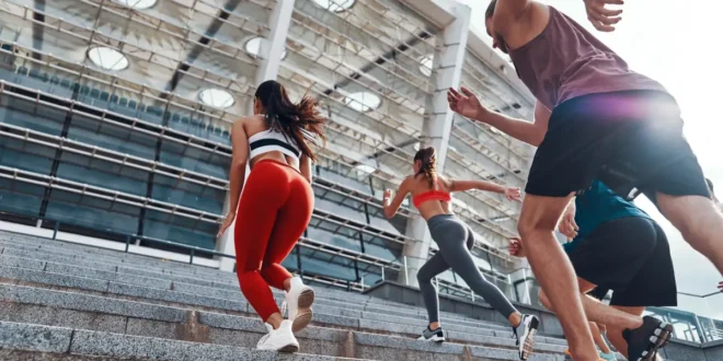 14 Benefícios da Colina e a sua importância no desporto 14 Benefícios da Colina e a sua importância no desporto