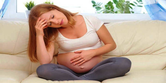 damiana gravidez damiana gravidez