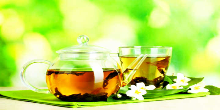 damiana infusão damiana infusão