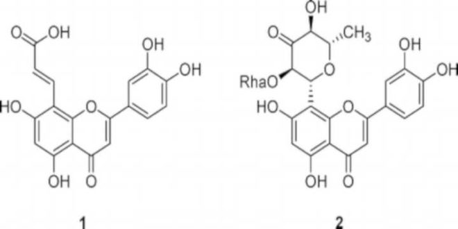 damiana quimica damiana quimica