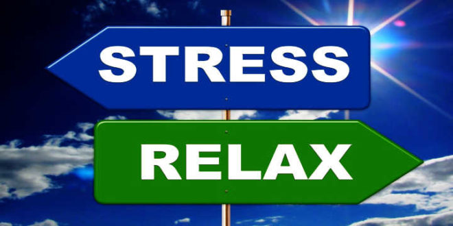 damiana stress damiana -stress