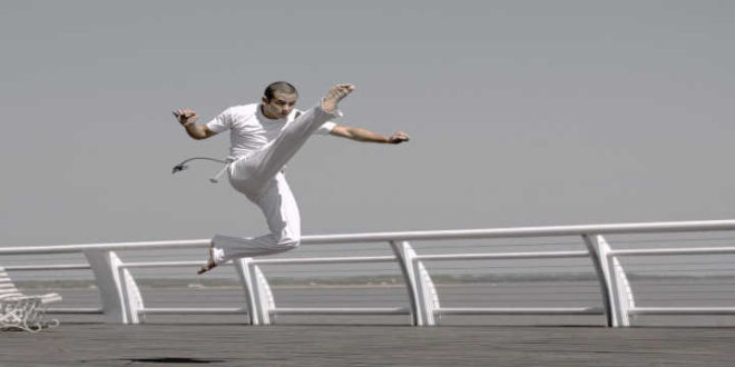 damiana energia damiana-energia