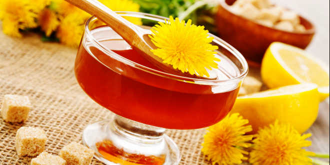 dente-de-leão infusão chá