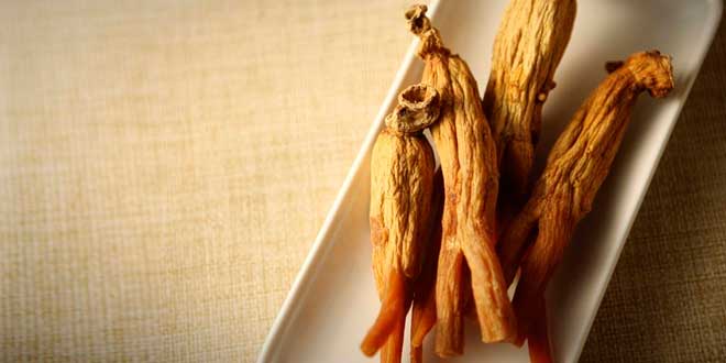eficaz ginseng