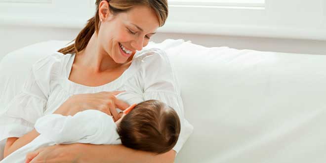 fenogrego lactação