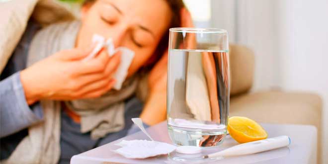 ginseng prevenção constipado