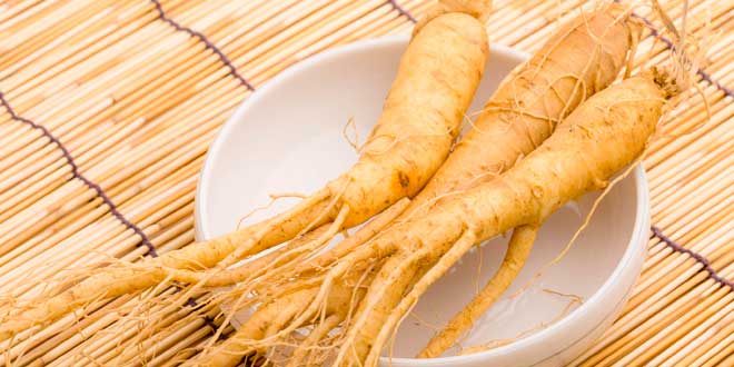 Ginseng siberiano – O que é, quais são suas propriedades e benefícios