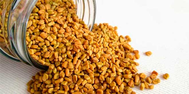 propriedades feno-grego