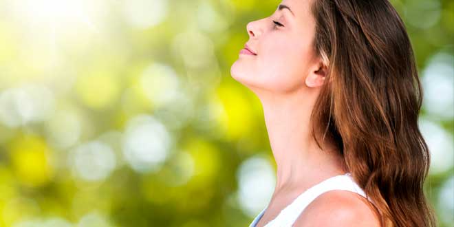 propriedades ginseng